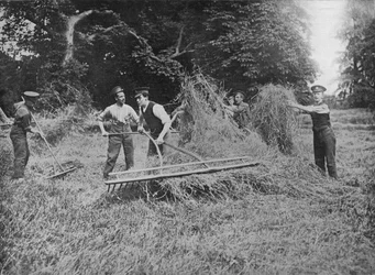 Soldaten helfen den Bauern beim Heueinbringen, 1915