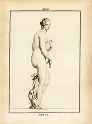 Statue der Venus, römische Göttin der Liebe, Schönheit, Sexualität und Fruchtbarkeit
