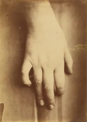 Studie einer Hand