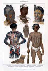 Tätowierung, 1800-1900