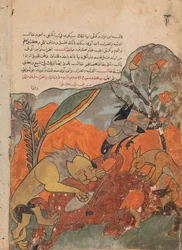 Der Angriff auf das Kamel durch den Löwen, die Krähe, den Wolf und den Schakal, Folio aus einem Kalila..., 18. Jahrhundert
