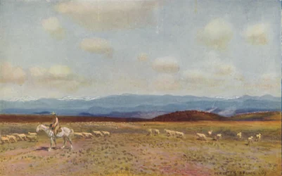Die Australischen Alpen