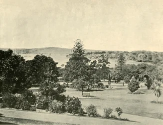 Die Botanischen Gärten von Sydney, 1901
