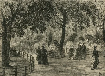 Die Blumenwege, Kensington Gardens, ca. 1876