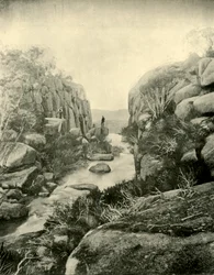 Die Schlucht, Buffalo Falls, Viktorianische Alpen, 1901