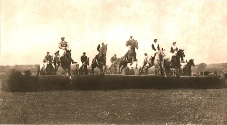 Der Jagdpokal, Punchestown, 1911