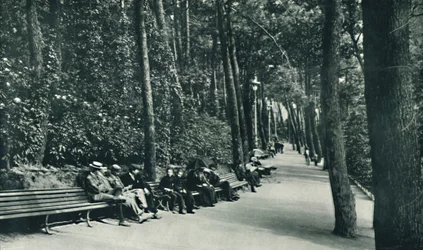 Der Spaziergang der Invaliden, ca. 1910