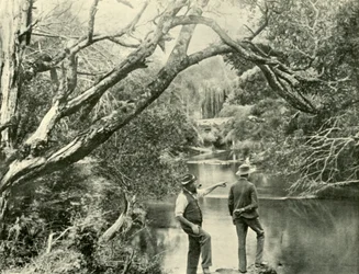 Der Startplatz, Upper Yarra, Victoria, 1901