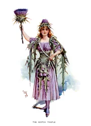 Die schottische Distel, 1899