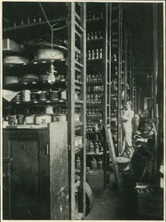 Die Regale von Edisons Labor mit Proben jeder bekannten Substanz, 1902