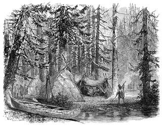 Der Wald vor dem Auswanderer, 1900