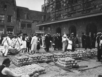 Der Käsemarkt am Freitag, Alkmaar, Niederlande, ca. 1934
