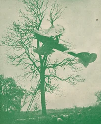 Die Risiken des Nachtfliegens, ca. 1918-1919