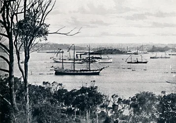 Blick auf den Hafen von Sydney von North Shore, Nr. 1, ca. 1900