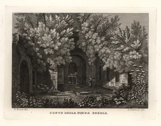 Ansicht der Quelle der Nymphe Egeria, Fonte della Ninfa Egeria, Parco Cafarella, Rom
