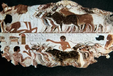Wandmalerei aus dem Grab von Nebarunun, Theben, Ägypten, ca. 1350 v. Chr.