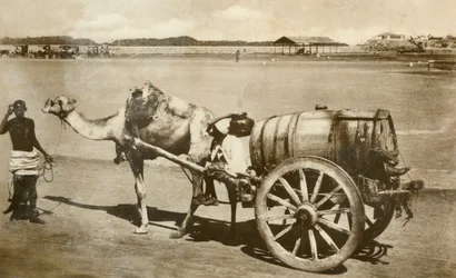 Wasserwagen, Aden, ca. 1918-ca. 1939