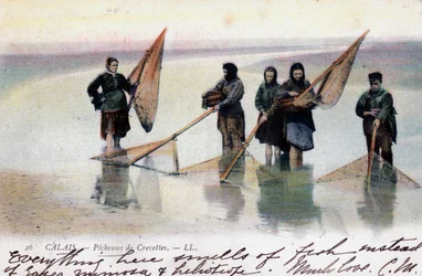 Frauen beim Garnelenfischen, Calais, 1905