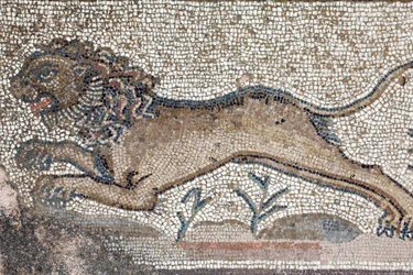 Ein Löwe - (Detail) eines Frieses, der Jagdszenen darstellt, neben dem Panel, das das erste Bad des Achilles zeigt - Paphos-Mosaiken, Villa des Theseus, 5. Jahrhundert n. Chr. - Zypern