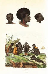 Australische Aborigines und Köpfe von Eingeborenen von Waigeo, West-Papua
