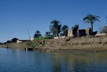 Ufer des Nils
