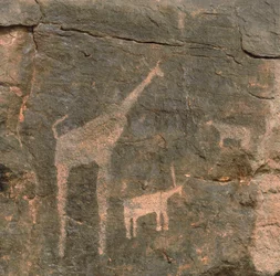 Nahaufnahme prähistorischer Malereien, Tenere-Wüste, Niger