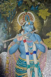Hinduismus; Gemälde von Lord Krishna mit Flöte; Durgiana Mandir Vishnu Tempel; Amritsar; Punjab; Indien; Südasien; Asien