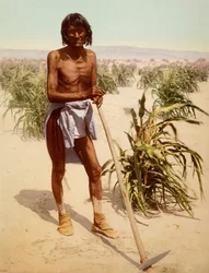 Hopi-Mann mit einer Hacke, Arizona