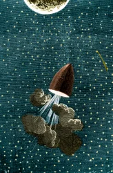 Illustration aus Jules Vernes Buch: Reise um den Mond