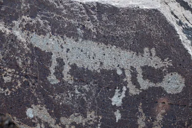 Indianische Petroglyphen mit Tierdarstellungen - Petroglyph National Monument - Albuquerque, New Mexico, USA (USA)