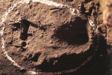 Italien, Ligurien, Grotten von Toirano, Fußspuren eines prähistorischen Jägers
