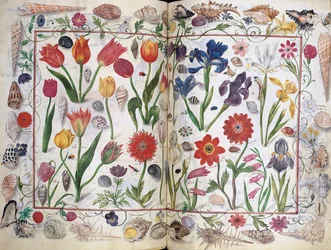 Seiten aus dem Album Amicorum von Philipp Hainhofer, 1596-1633