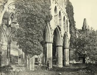 Rievaulx Abbey, North Yorkshire, Vereinigtes Königreich