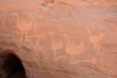 Felskunst, Vorgeschichte: Gravur einer Gruppe von Straußen, von denen einige behindert sind (mit einem Stein blockiert) und zwei Figuren im Uweinat-Massiv, Sudan. Zeitraum von 8000 bis 3000 v. Chr. Fotografie