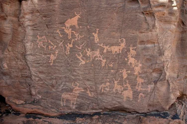Felskunst, Vorgeschichte: Gravur einer Gruppe von Rindern, Straußen und Figuren im Uweinat-Massiv, Sudan (Karkur-Talh oder Karkur Talh). Zeitraum von 8000 bis 3000 Jahre v. Chr. Fotografie