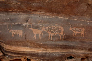 Felskunst, Vorgeschichte: Gravur von vier Rindern im Uweinat-Massiv, Sudan (Karkur-Talh oder Karkur Talh). Zeitraum von 8000 bis 3000 Jahre v. Chr. Fotografie