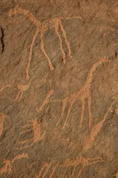 Felskunst, Vorgeschichte: Gravur von Giraffen, Straußen, anderen Tieren und Figuren im Uweinat-Massiv, Sudan (Karkur-Talh oder Karkur Talh). Zeitraum von 8000 bis 3000 v. Chr. Fotografie