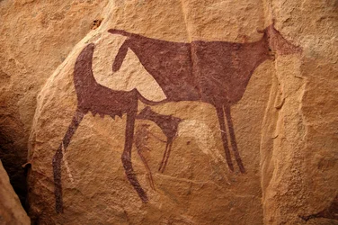 Felskunst, Vorgeschichte: Felsmalerei einer großen zweifarbigen Kuh und ihres Kalbes in einem verzierten Schutzraum im Uweinat-Massiv, Sudan. Zeitraum von 8000 bis 3000 v. Chr. Fotografie