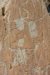 Felsgravuren im Vallée de Fontanalba / ineinandergefügte hornförmige Figuren oder Rinder / Nationalpark Mercantour / Tende / Alpes-Maritimes / Frankreich