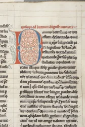 St. Augustinus von Hippo 