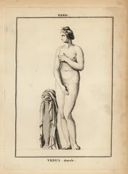 Statue der Venus Doree (gold), Römische Göttin der Liebe, Schönheit, Sexualität und Fruchtbarkeit