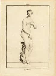 Statue der Venus, römische Göttin der Liebe, Schönheit, Sexualität und Fruchtbarkeit