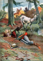 Die Hirschkuh im Wald