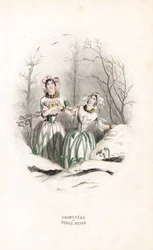 Die Feen durchbohren Schnee und Primeln in einer verschneiten Landschaft - Radierung von Charles Geoffroy nach einer Illustration von Jean Ignace Isidore Gerard dit J.J.Granville für Les fleurs animées