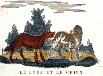 Der Wolf und der Hund, La Fontaines Fabel, frühes 19. Jahrhundert (Gravur)