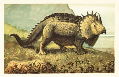 Triceratops prorsus, ausgestorbener pflanzenfressender Dinosaurier. 1908 (Lithografie)