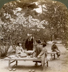 Eine Familie genießt ein Picknick unter den Kirschblüten, Omuro Gosho, Kyoto, Japan, 1904