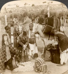 Experten kaufen Seidenkokons für den Export nach Frankreich, Antiochia, Syrien, 1900er Jahre
