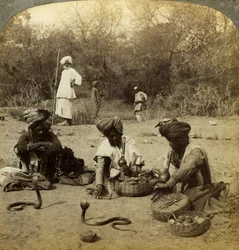Schlangenbeschwörer, Delhi, Indien