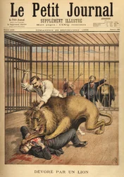 Ein junger Mann, der in einem Löwenkäfig fotografiert werden wollte, wird trotz der Bemühungen des Dompteurs vom Löwen verschlungen